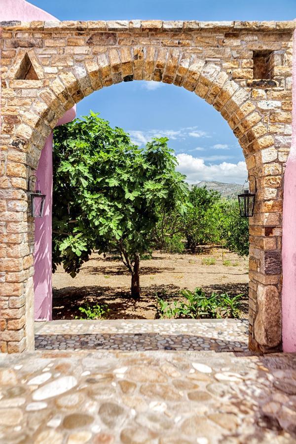 Naxos City Georgilas Cave Houseヴィラ エクステリア 写真